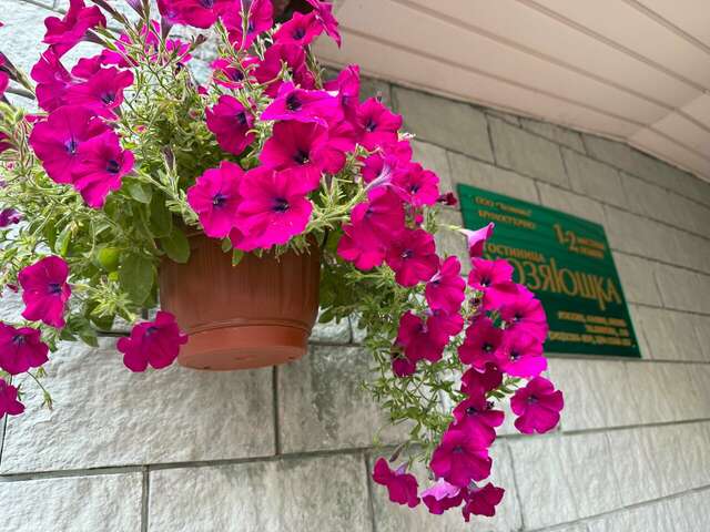 Гостиница Хозяюшка Пермь-75