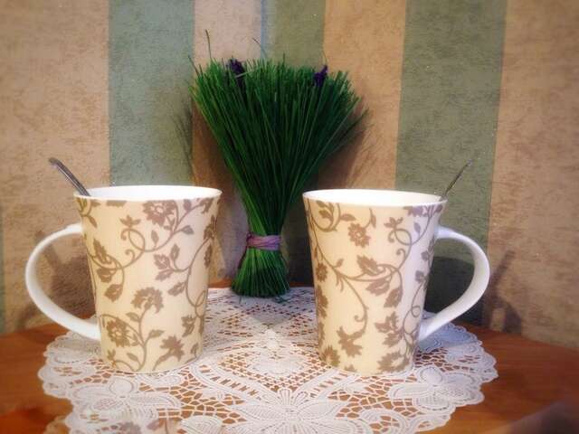 Гостиница Хозяюшка Пермь-115